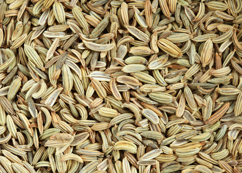 Fennel Essential Oil ( Foeniculum Vulgare)