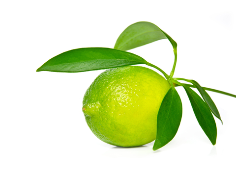 Lime Essential Oil (Citrus Aurantifolia)