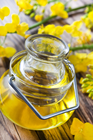 Rapeseed Oil (Brassica Campestris) 