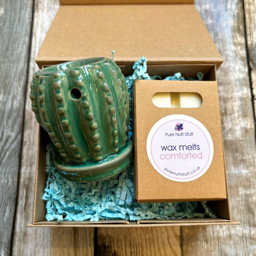 Cactus & Wax Melt Gift Box