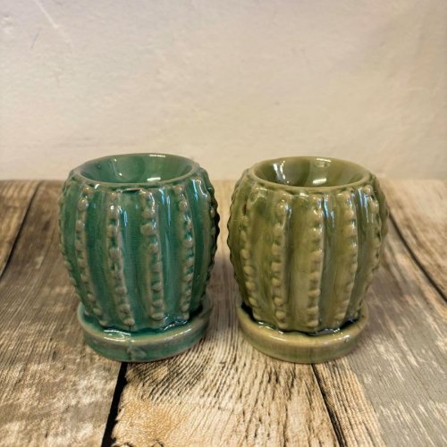 Cactus Oil Burner